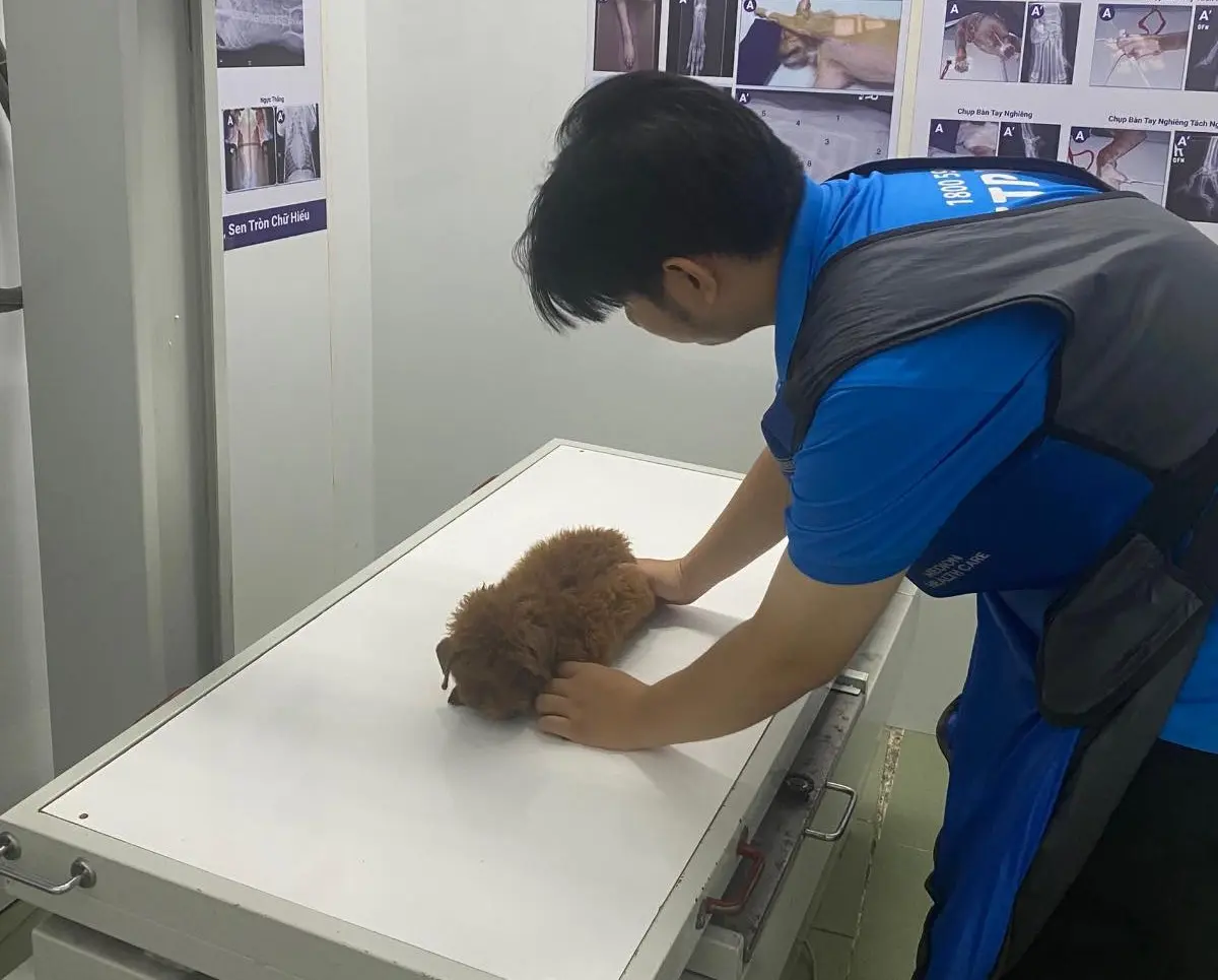 phong-kham-thu-y-tan-binh-7 PETPRO