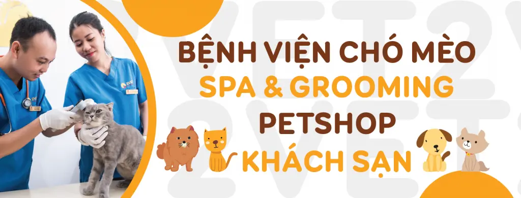 phòng khám thú y Hà Nội phòng khám thú y Hà Nội