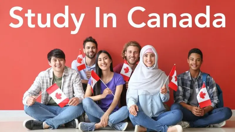Top 12 Công Ty Tư Vấn Du Học Canada Tại Hải Phòng