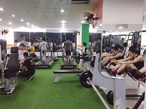 gym hải phòng chung thảo