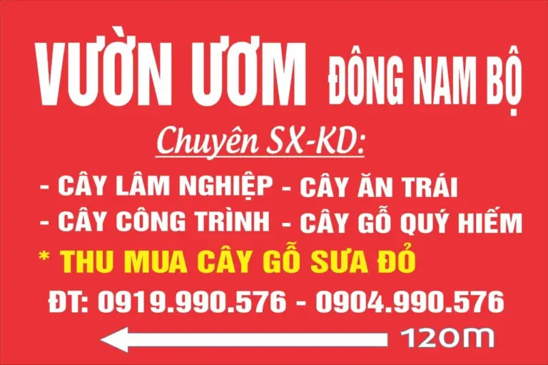 Mách Bạn Top 10 Trung Tâm Cung Cấp Giống Cây Trồng Đồng Nai Chất Lượng, Uy Tín