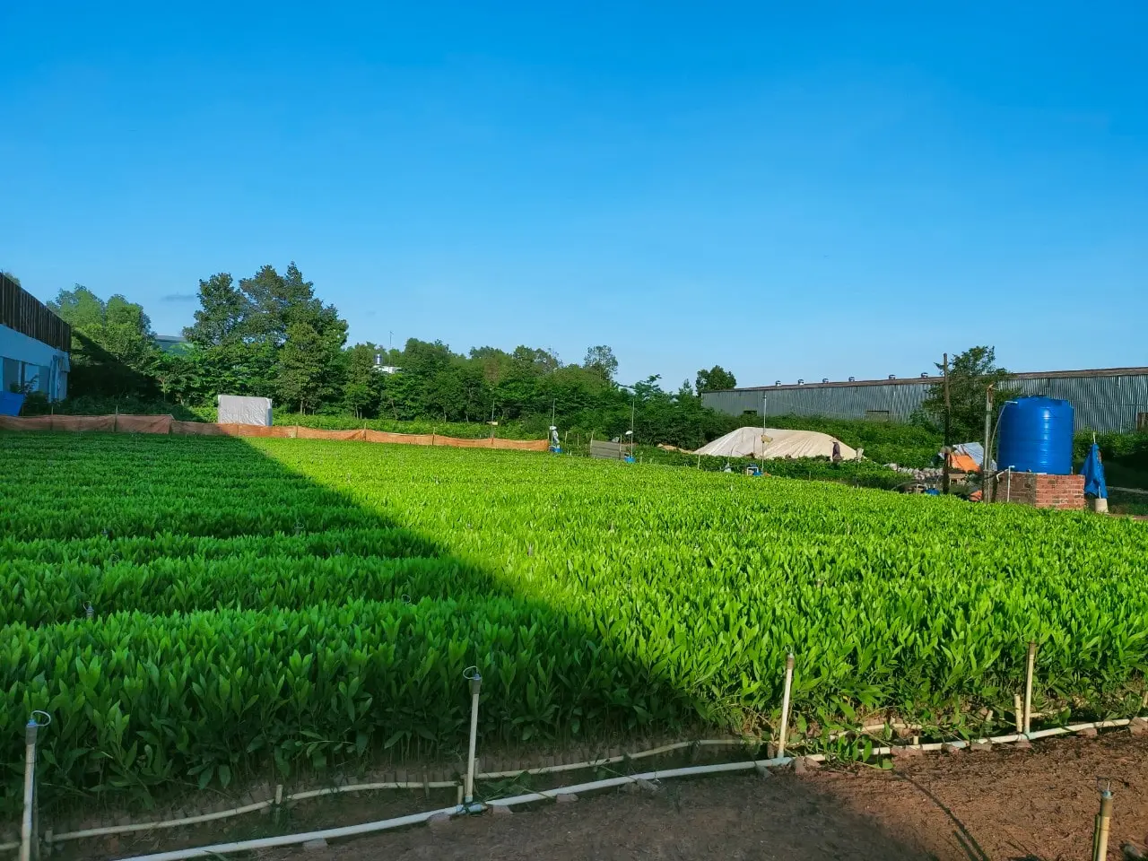 vật liệu xây dựng Bắc Ninh vật liệu xây dựng Bắc Ninh
