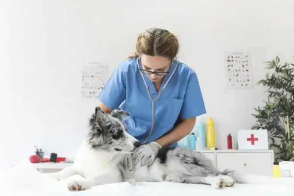 sơn tĩnh điện Quảng Nam sơn tĩnh điện Quảng Nam