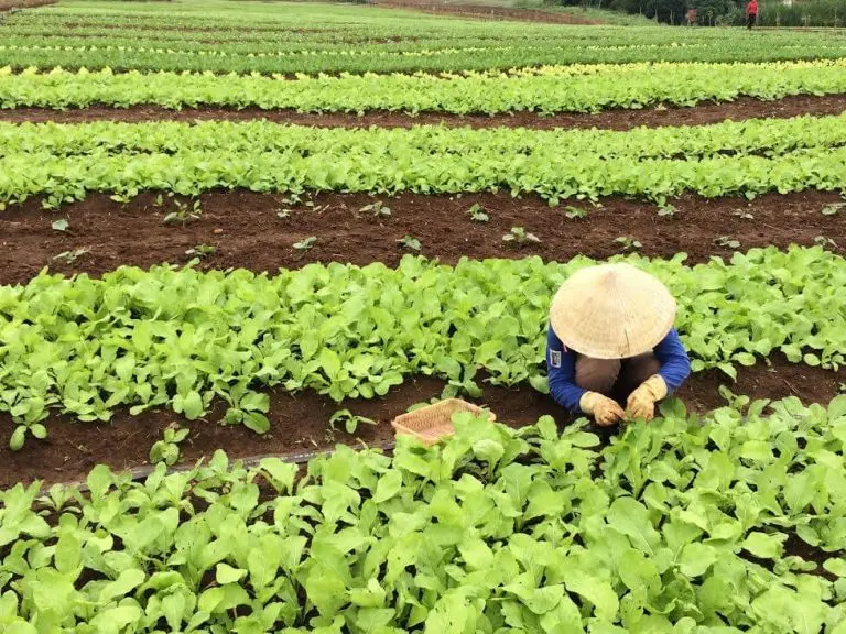 giá nội soi dạ dày giá nội soi dạ dày