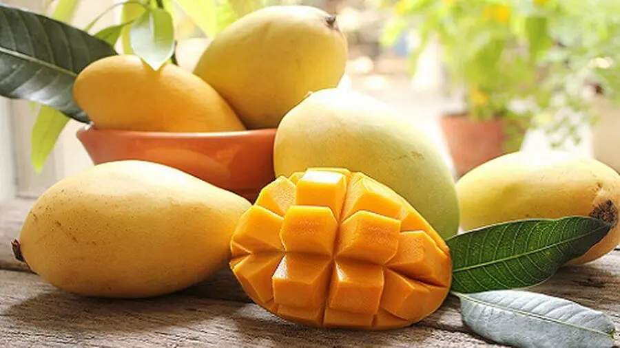 quán dê ngon ở biên hòa quán dê ngon ở biên hòa
