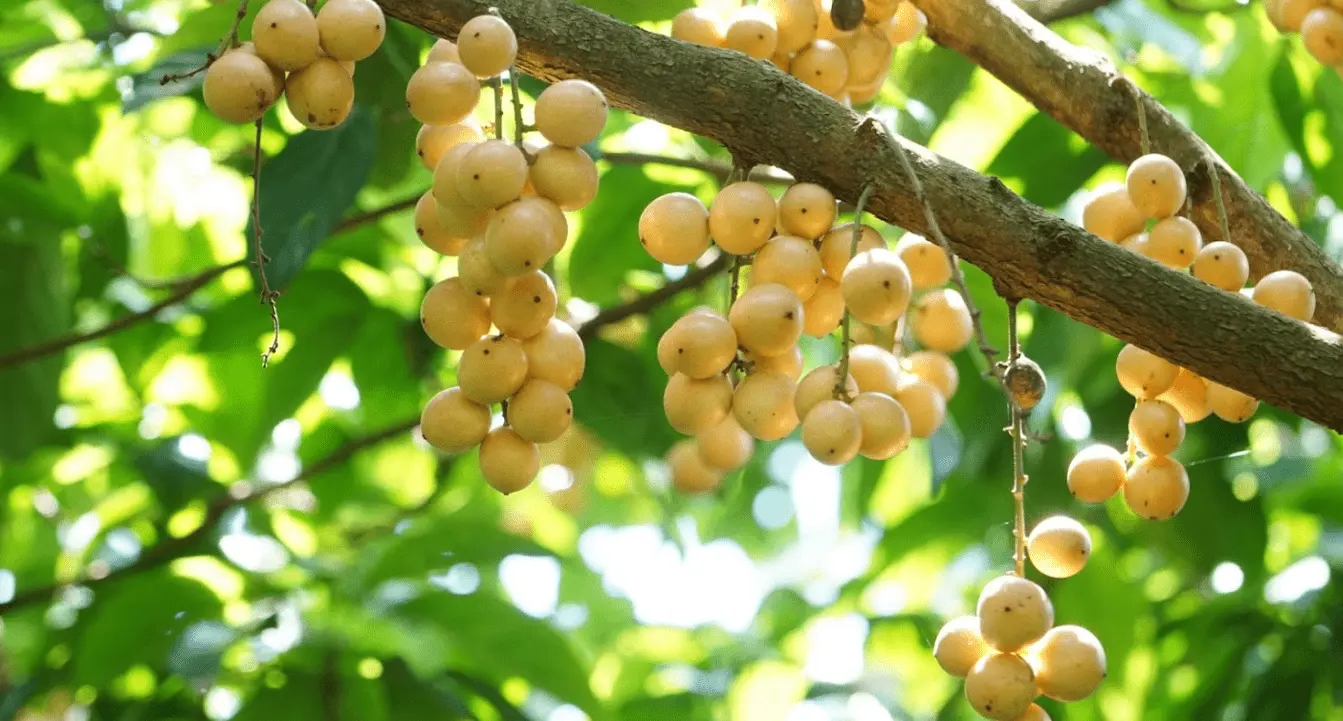 quán ăn vặt ngon ở biên hòa