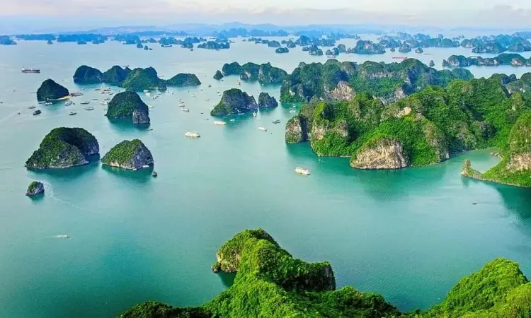 lắp đặt thang máy Quảng Ngãi Công Ty TNHH Thang Máy Sông Trà