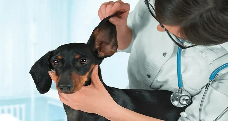 sơn tĩnh điện Quảng Nam sơn tĩnh điện Quảng Nam