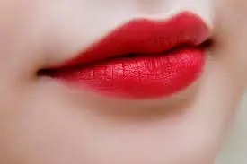 đá lát sân vườn Quảng Ngãi Phố Đá Đẹp