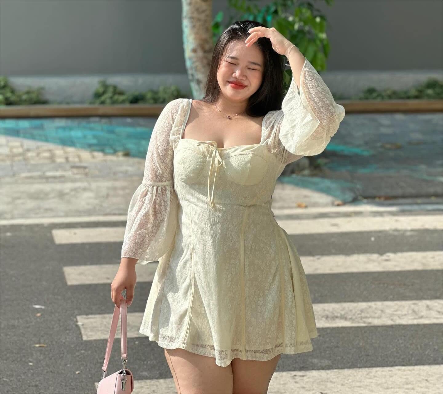 Mèo Mỡ BigSize