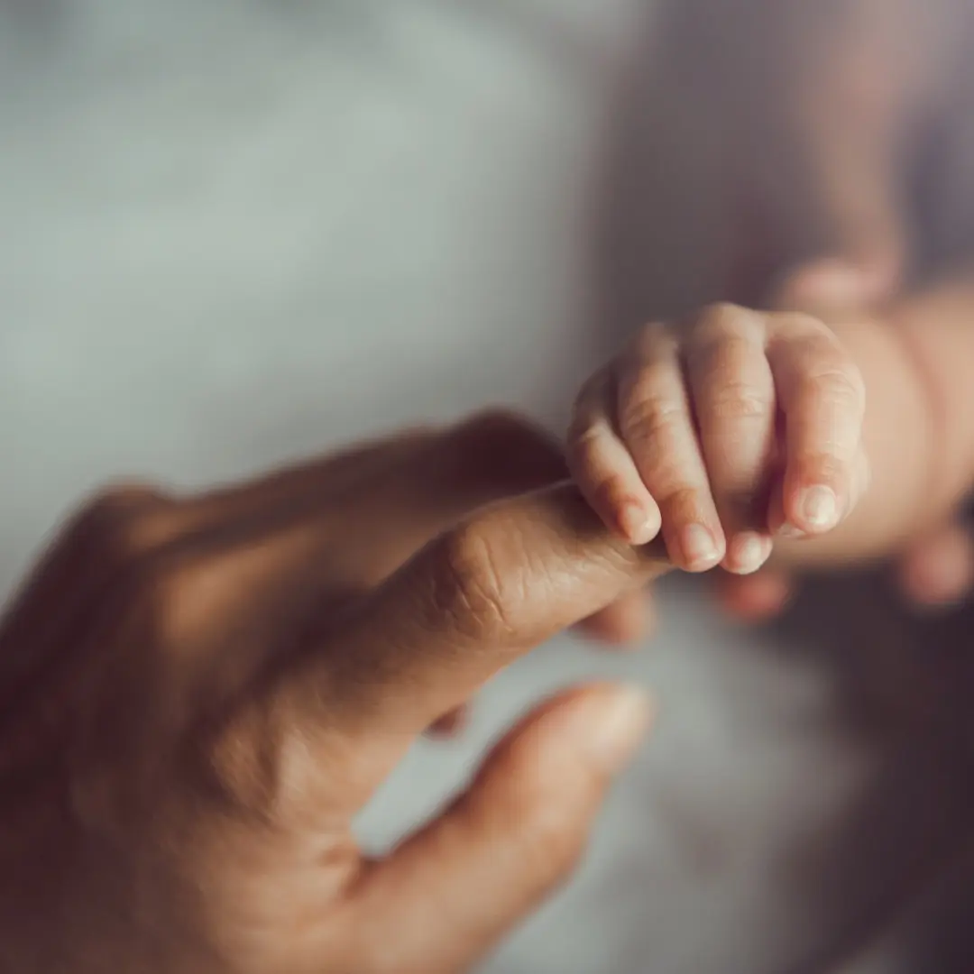 Sữa mẹ: Khi “dòng nhựa sống” không chỉ là dinh dưỡng, mà là bản giao hưởng của sự sống.