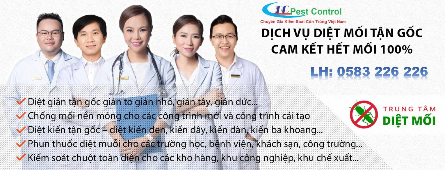 Công Ty Kiểm Soát Côn Trùng Thành Công – Giải Pháp Bảo Vệ Không Gian Sống Tận Gốc Tại Hà Nội