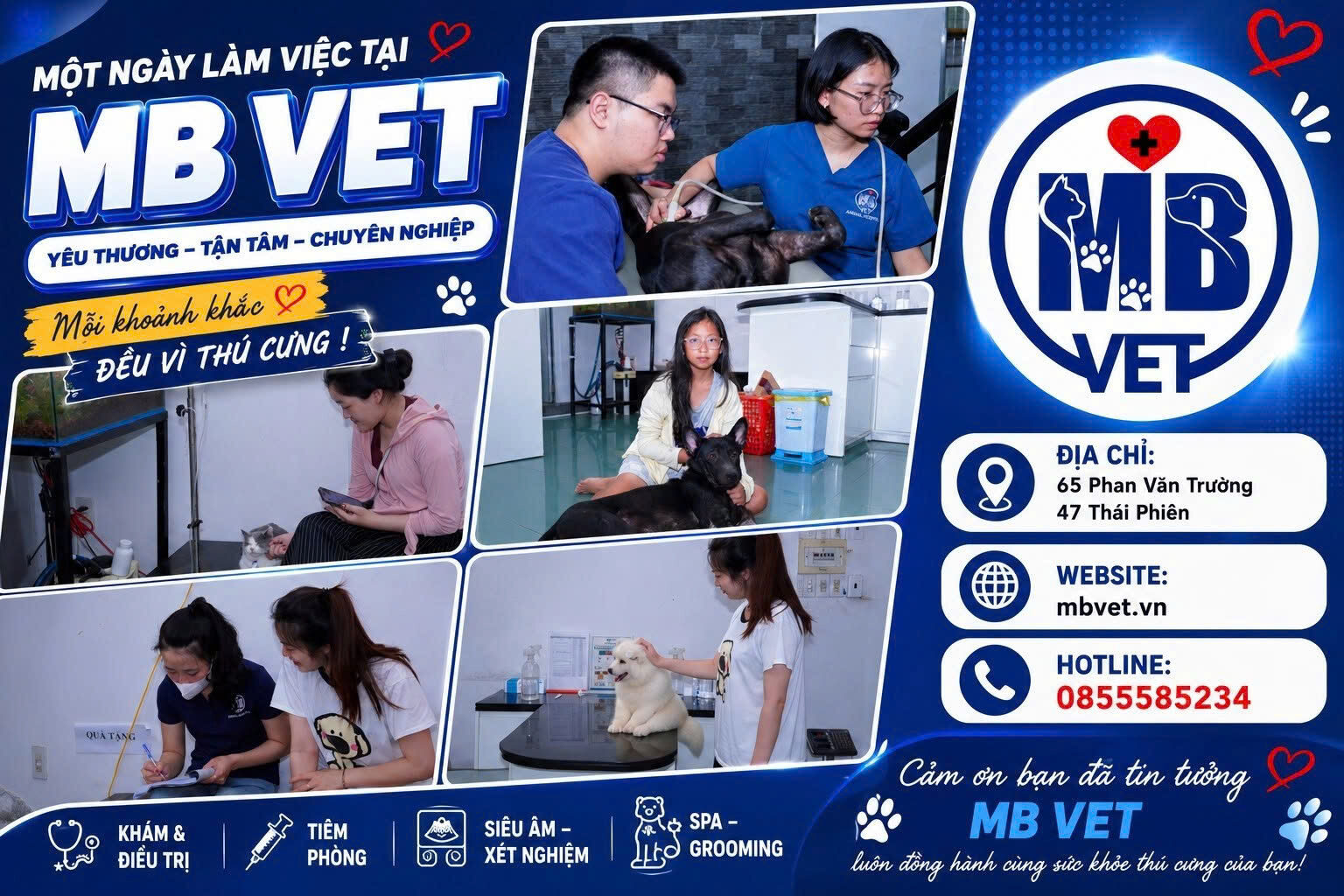 Bệnh Viện Thú Y MB Vet Huế - Hệ thống chăm sóc thú cưng toàn diện