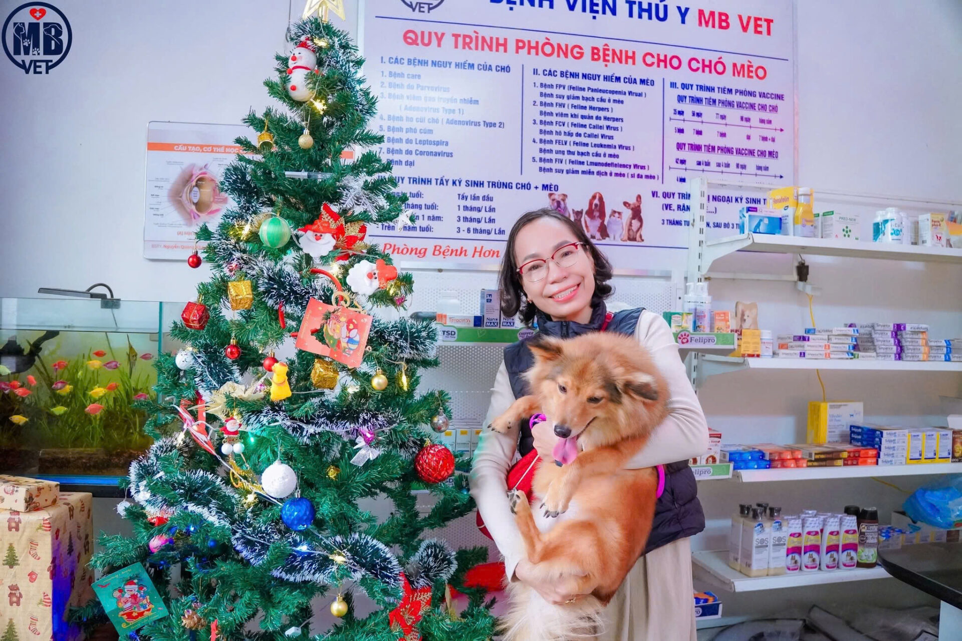 MB Vet Huế luôn là sự lựa chọn hàng đầu của thú cưng.