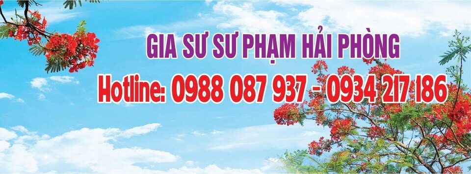 Trung Tâm Gia Sư Sư Phạm Hải Phòng – Nền Tảng Chuyên Môn Vững Chắc