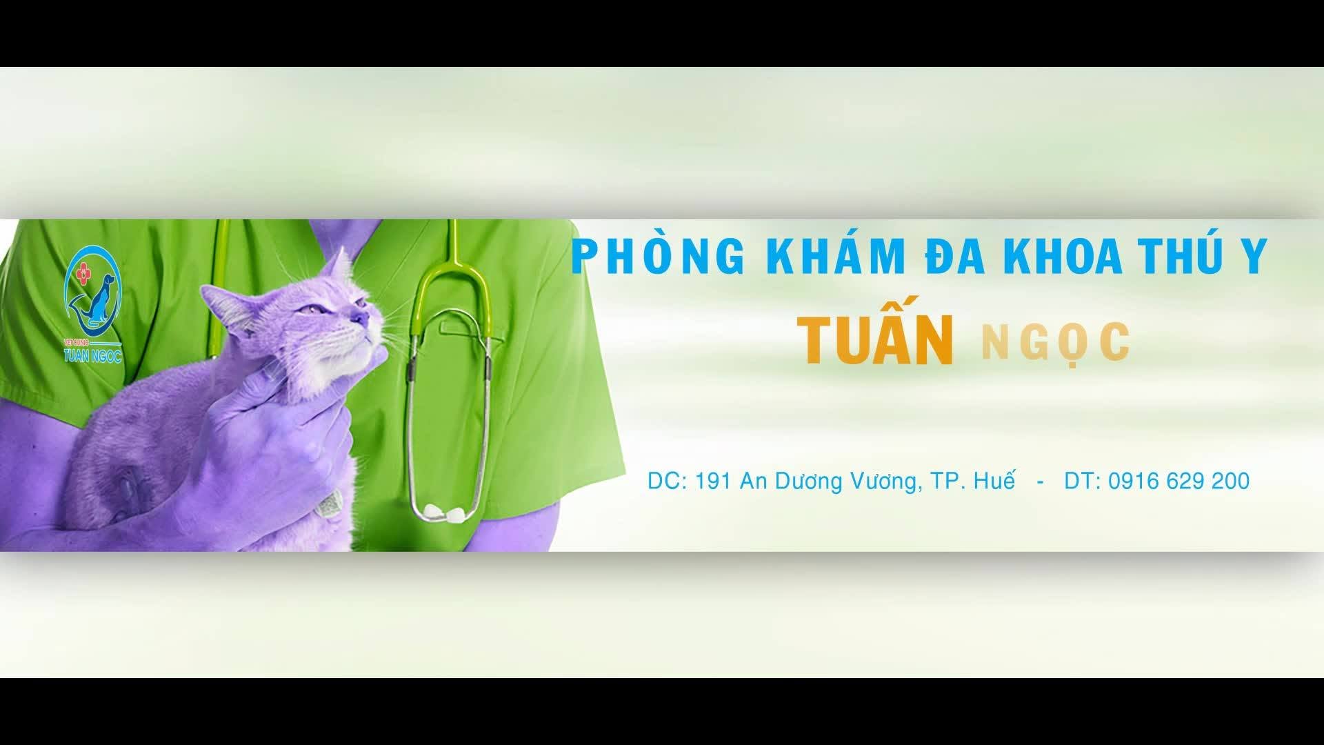Phòng Khám Đa Khoa Thú Y Tuấn Ngọc - Tận tâm trong từng ca bệnh