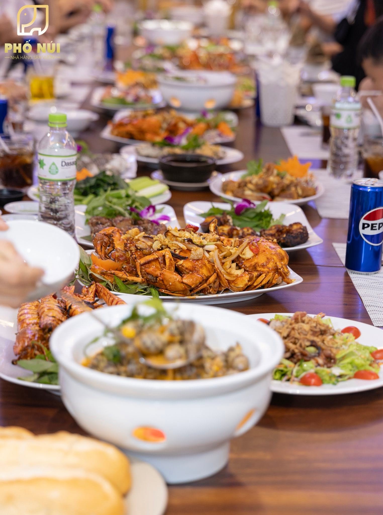 Phố Núi - Quán cafe và ăn uống sân vườn tại Đắk Lắk mang nét đẹp sang trọng.