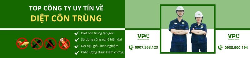 VPC - Công ty kiểm soát côn trùng Hà Nội đạt chuẩn quốc tế