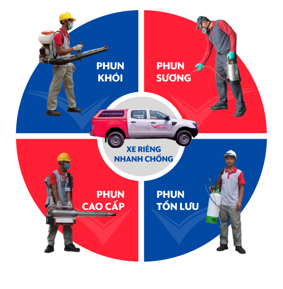 VinPest - Công ty kiểm soát côn trùng Hà Nội quy mô lớn hàng đầu